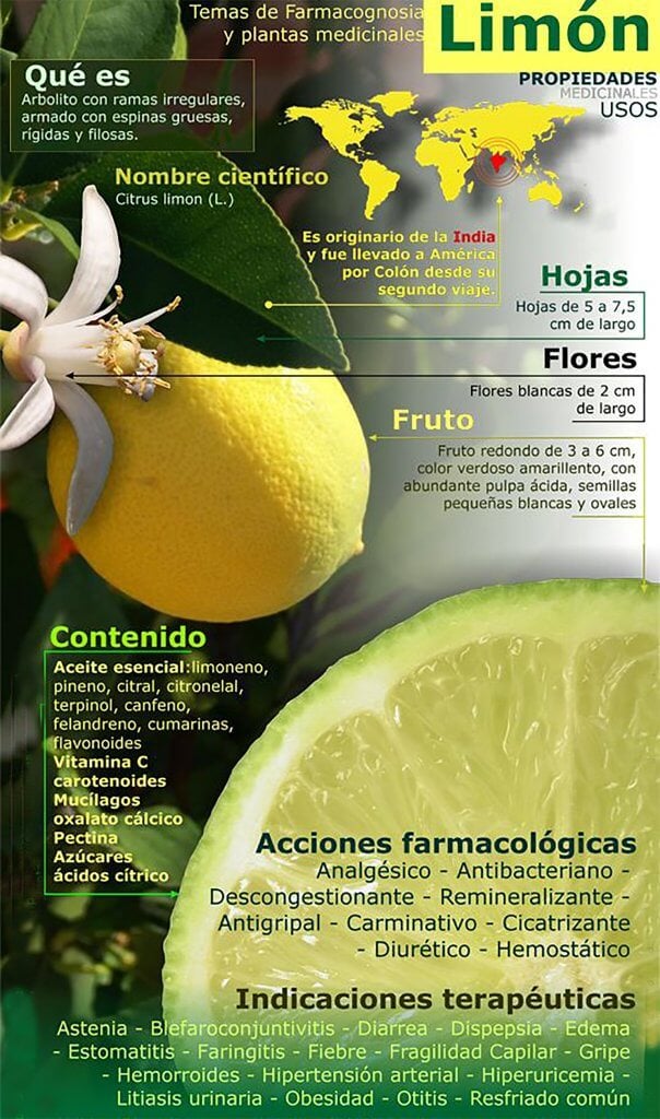 infografia propiedades del limon